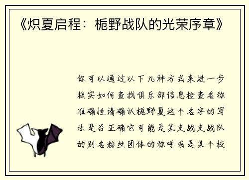 《炽夏启程：栀野战队的光荣序章》