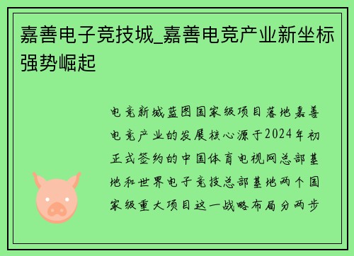 嘉善电子竞技城_嘉善电竞产业新坐标强势崛起